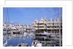 Marbella Marina by Anonymous