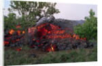 Cooling Lava from Mount Etna by Anonymous
