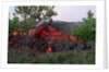 Cooling Lava from Mount Etna by Anonymous