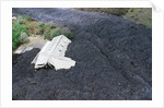 Building Buried by Lava by Anonymous