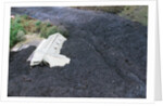 Building Buried by Lava by Anonymous