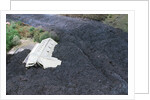 Building Buried by Lava by Anonymous