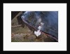 Firefighters Divert Lava Flow by Anonymous