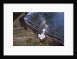 Firefighters Divert Lava Flow by Anonymous