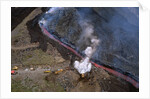 Firefighters Divert Lava Flow by Anonymous