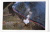 Firefighters Divert Lava Flow by Anonymous