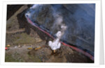 Firefighters Divert Lava Flow by Anonymous