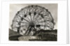 View of Wonder Wheel Ride at Coney Island by Anonymous