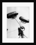 View of Amusement Park Ride at Coney Island by Anonymous