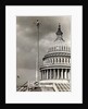 Man Sitting Near Dome of Capitol by Anonymous