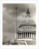 Man Sitting Near Dome of Capitol by Anonymous