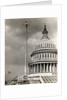 Man Sitting Near Dome of Capitol by Anonymous