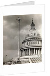 Man Sitting Near Dome of Capitol by Anonymous