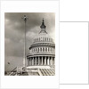 Man Sitting Near Dome of Capitol by Anonymous