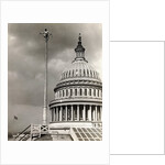 Man Sitting Near Dome of Capitol by Anonymous