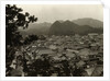 Housetop View of Shimoda by Anonymous