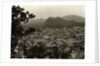 Housetop View of Shimoda by Anonymous