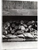 Three Wise Monkeys Sculpture at Toshugu Shrine by Anonymous
