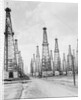 Oil Fields in Texas by Anonymous