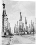 Oil Fields in Texas by Anonymous