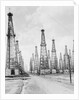Oil Fields in Texas by Anonymous
