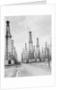 Oil Fields in Texas by Anonymous