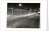 Metal Fence with Barbed Wire by Anonymous