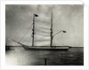 Photo of Peary's Flagship by Anonymous