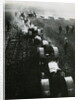 Tractors on Soviet State Farm by Anonymous