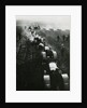 Tractors on Soviet State Farm by Anonymous