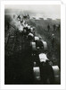 Tractors on Soviet State Farm by Anonymous