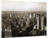 Looking Out Over Manhattan by Anonymous