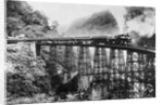 A Railroad Trestle Near Vera Cruz by Anonymous