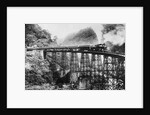 A Railroad Trestle Near Vera Cruz by Anonymous