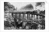 A Railroad Trestle Near Vera Cruz by Anonymous