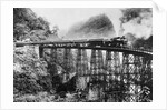 A Railroad Trestle Near Vera Cruz by Anonymous
