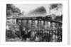 A Railroad Trestle Near Vera Cruz by Anonymous