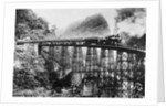 A Railroad Trestle Near Vera Cruz by Anonymous