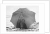 Couple on Beach Under Umbrella by Anonymous