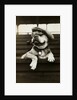 Dog Wearing Hat and Goggles by Anonymous