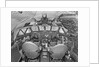 Cockpit of Comet 3 Aircraft by Anonymous