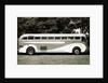 Greyhound Bus by Anonymous