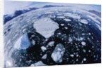 Ice in Nansen Fjord by Anonymous