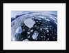 Ice in Nansen Fjord by Anonymous