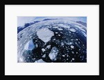 Ice in Nansen Fjord by Anonymous