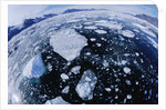 Ice in Nansen Fjord by Anonymous