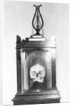 Skull of Composer Franz Josef Hadyn by Anonymous