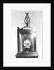 Skull of Composer Franz Josef Hadyn by Anonymous
