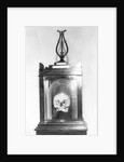 Skull of Composer Franz Josef Hadyn by Anonymous