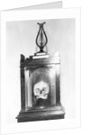 Skull of Composer Franz Josef Hadyn by Anonymous